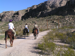 Horseback Riding